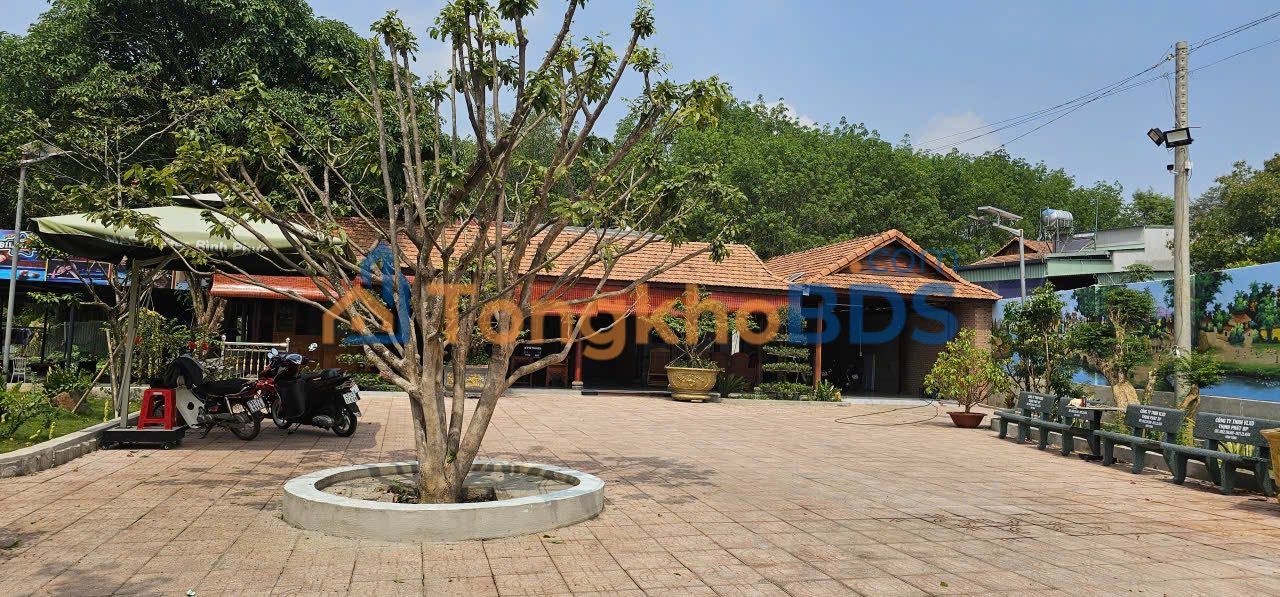 Farm 7029m² Tiến Hưng, Bình Phước - Vườn Sầu Riêng, Ao Cá, Nhà Gỗ 9 Gian