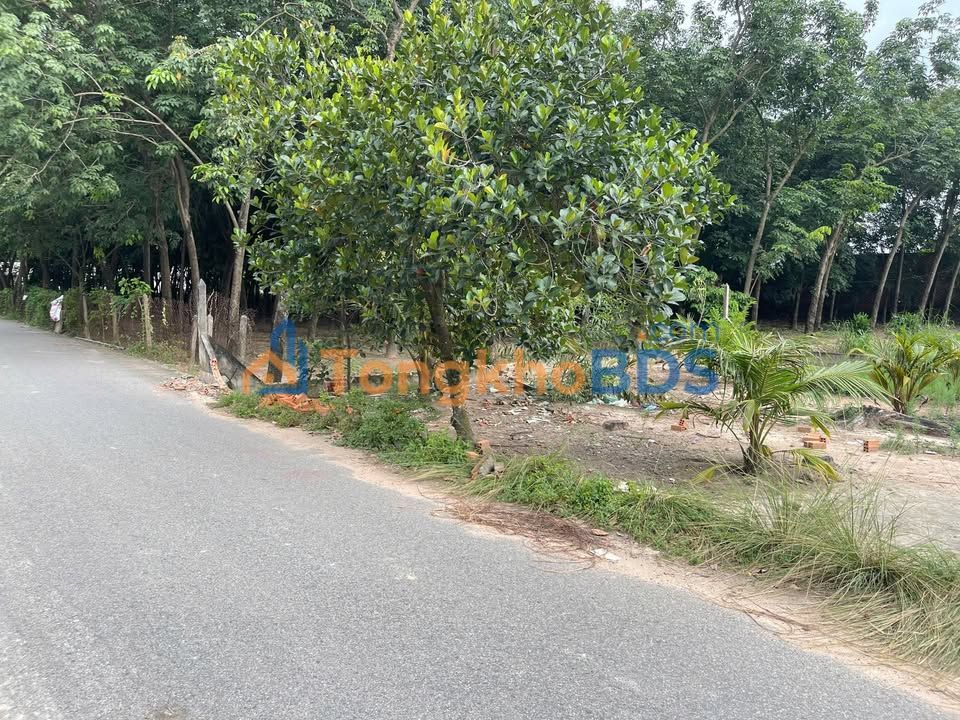 Đất nền Hòa Lợi, Thủ Dầu Một - 203m² thổ cư, gần KCN, giá 2 tỷ