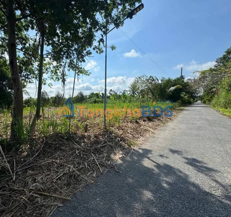 Đất Nền Phong Điền 60m² - Sổ Hồng Sẵn Sàng - 560 Triệu