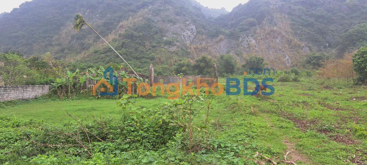 Đất nền Phúc Đường Thanh Hóa 1.280m² - Pháp lý rõ ràng