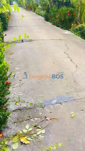 Bán Đất Vườn 7200m² Tân Châu - Sổ Hồng Rõ Ràng - 1.36 Tỷ