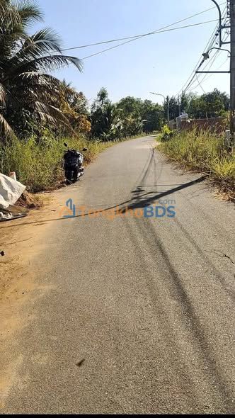 Đất Thổ Cư 291m² Mặt Tiền Đường 8m, Bến Cát - Sổ Hồng Sẵn Sàng