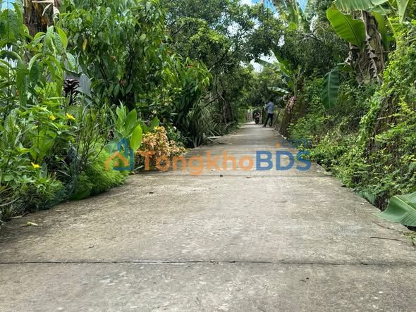 Đất nền Kim Sơn Tiền Giang 387m² 550 triệu - Tiềm năng tăng giá