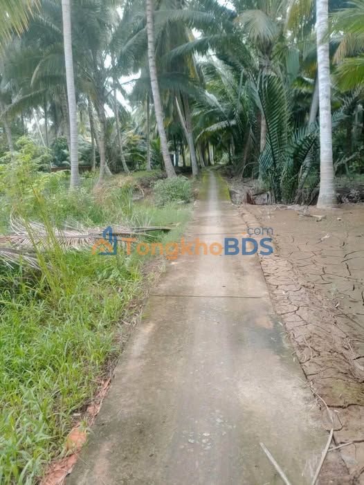 Đất nền Định Thủy, Mỏ Cày Nam 500m² 270 triệu - Giá tốt hiếm có