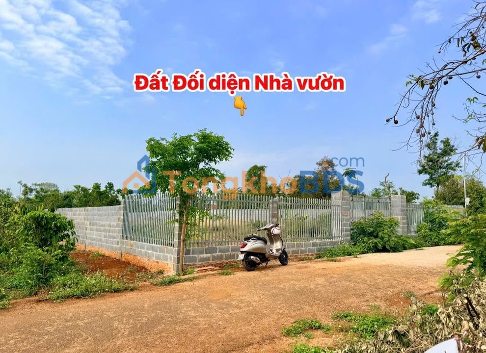 Đất Nền Xã Hòa Xuân, Buôn Ma Thuột - 150m² Hướng Nam, Giá 5xx Triệu