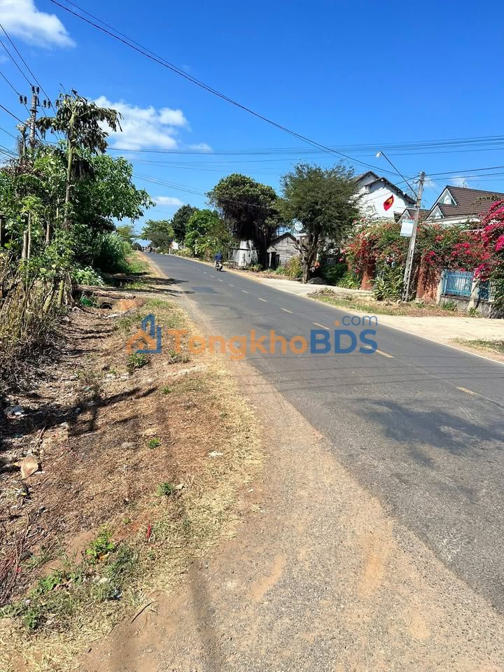 Đất Nền Tỉnh lộ 5, Buôn Đôn - 300m² Sẵn Sàng Kinh Doanh