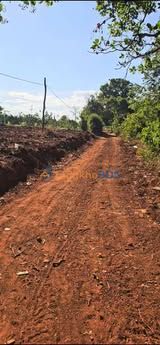 Đất Vườn Đắk Lắk 14.000m² - Sổ Đỏ Thổ Cư 400m² - Giá 1.45 Tỷ