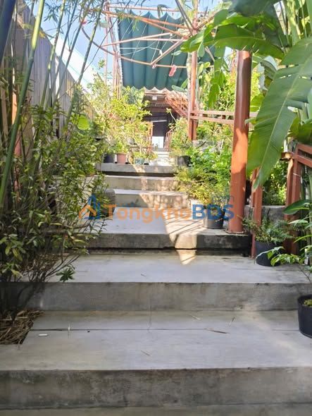 Mặt Tiền TL824 Bến Lức, Long An - 490m² Kinh Doanh Cafe Dòng Tiền Ổn Định - 6 Tỷ