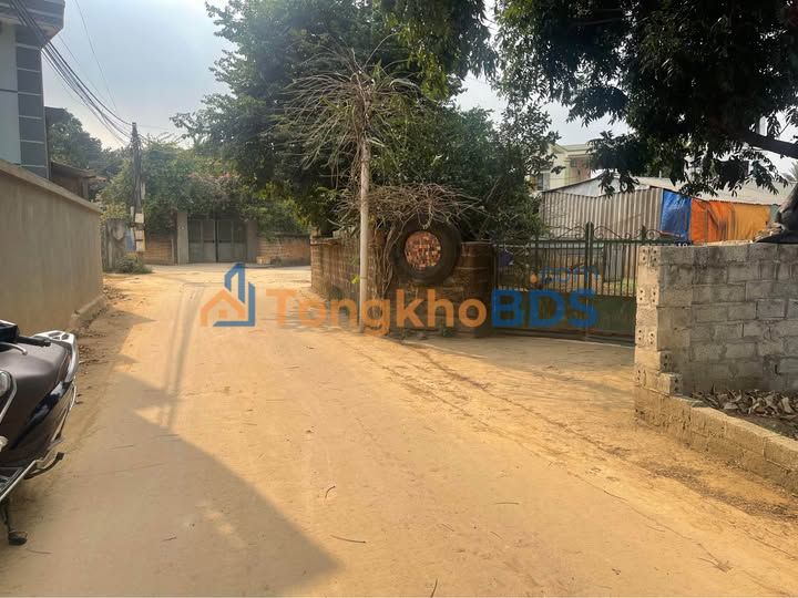 Bán đất Yên Mỹ, Hưng Yên 60.6m² - Lô góc kinh doanh, đường 2 ô tô