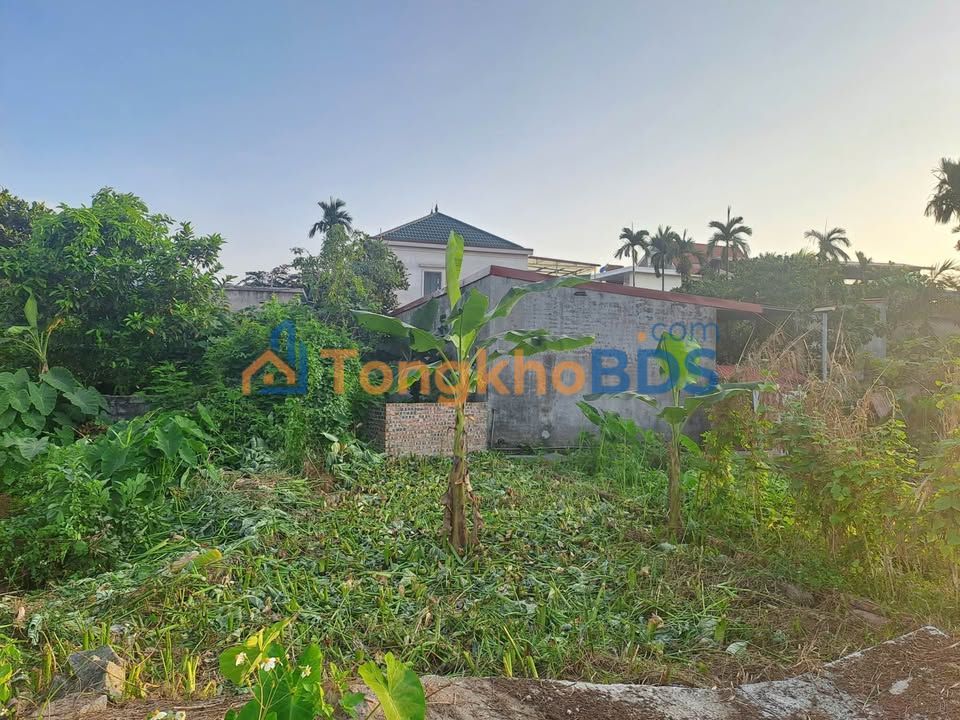 Đất nền An Đồng, Hải Phòng 41.5m² - Ngõ ô tô, giá 490 triệu