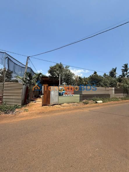 Bán Gấp 3 Sào Sầu Riêng 8 Năm Mặt Tiền QL 14 Buôn Hồ - 5 Tỷ