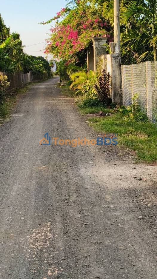 Đất nền 720m² Tỉnh lộ 2, Ea Nam, Đắk Lắk - Giá 360 triệu