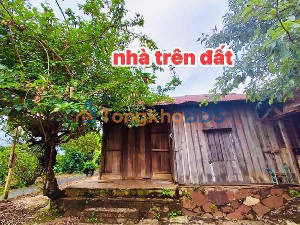 Đất nền Đắk Lắk Cumgar 1620m² giá 620 triệu - Sổ đỏ chính chủ
