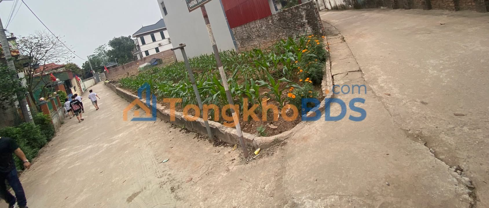 Đất nền Đan Phượng 54m² giá đầu tư 2.5 tỷ - Chính chủ cắt lỗ