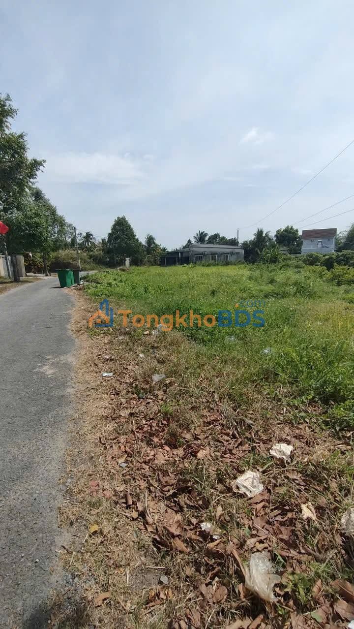 Bán Đất Thổ Cư Mặt Tiền DH 25C, Long Hồ - Sổ Hồng Sẵn, Giá Chỉ Từ 660 Triệu