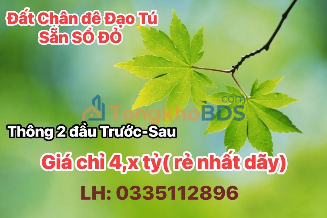 Đất nền Sổ đỏ 80m² - Đường Chân đê Đạo Tú, Vĩnh Phúc - Đầu tư tiềm năng