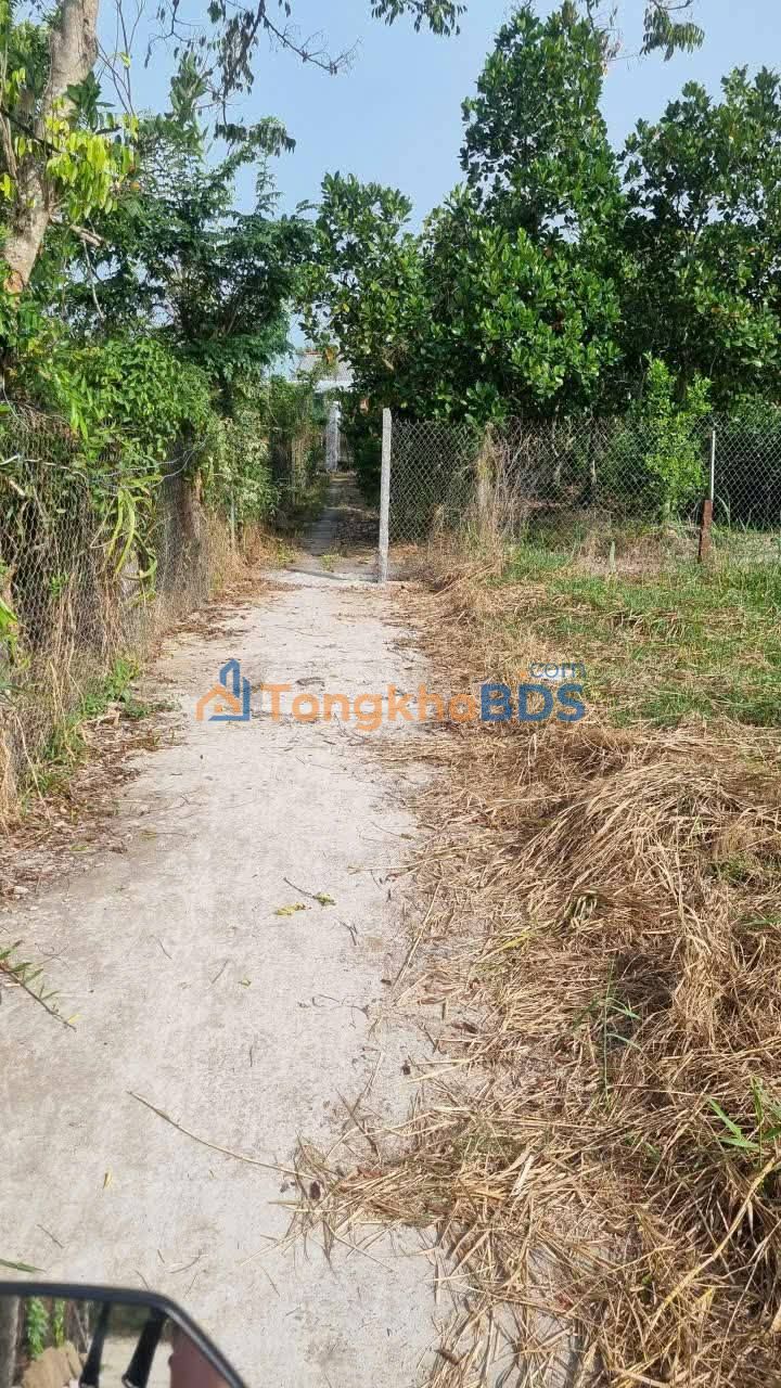 Bán Nền Thổ Cư 521m² Phường Mỹ Phước Tây, Cai Lậy - Giá Tốt 800 Triệu