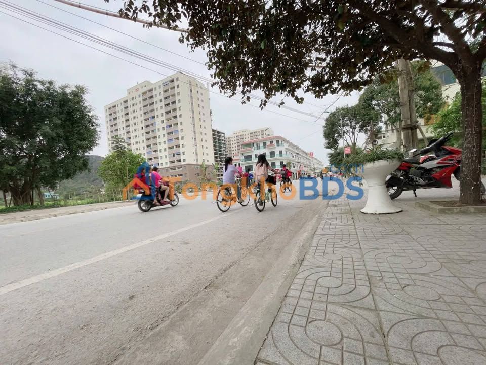 Nhà 3 Tầng Mặt Phố Nguyễn Phúc, Ba Đình - Kinh Doanh Sầm Uất, 47m², 4 Tỷ