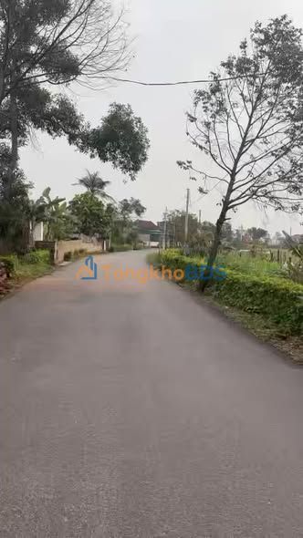 Đất Nền Nghi Quang, Nghệ An 140m² Full Thổ Cư - Lối 2 Đường 8b