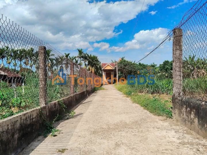 Đất nền Tịnh Hà Sơn Tịnh 120m² 3xx triệu - Đường to ôtô