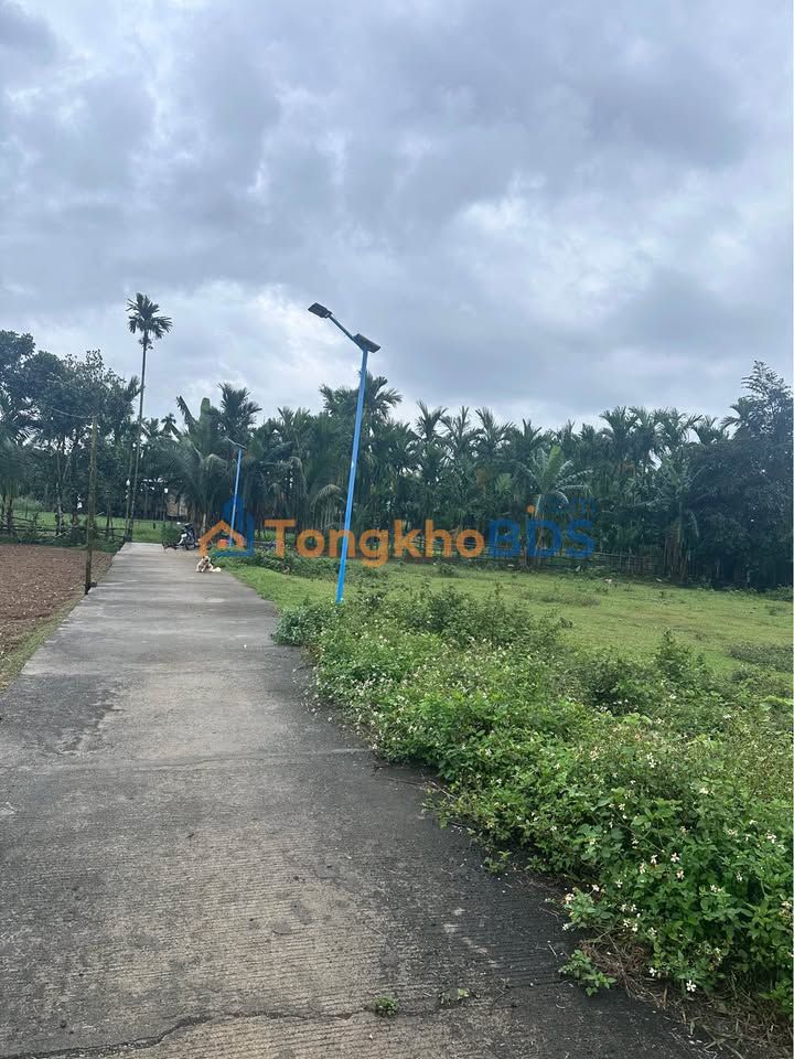 Đất nền 120m² trung tâm Chợ Chùa, Nghĩa Hành - Giá tốt chỉ 4xx triệu