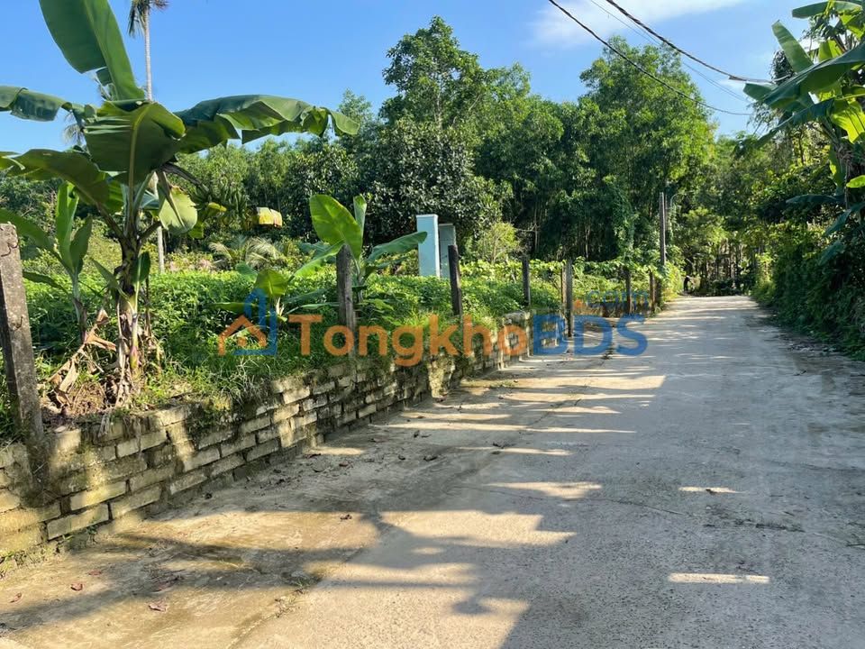 Bán Đất Nền Hòa Liên Đà Nẵng 123m² - Sổ Đỏ Sẵn Sàng, Giá Tốt