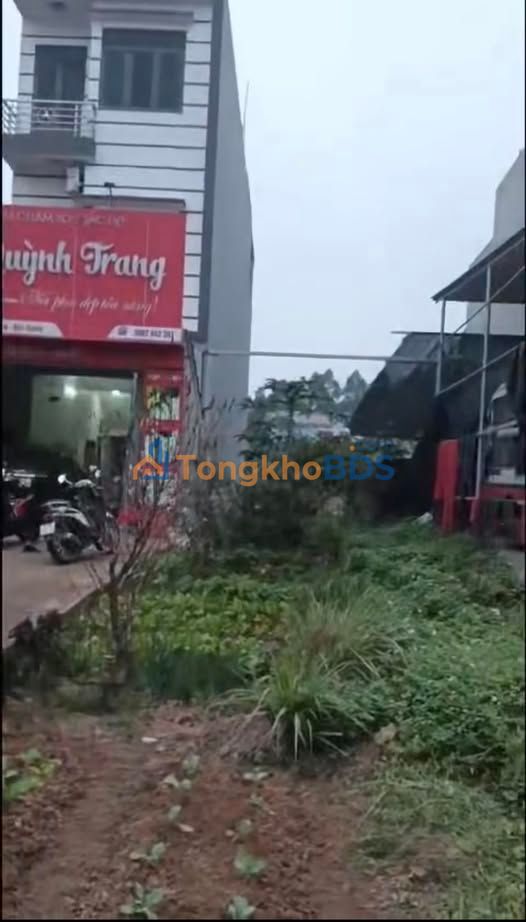 Đất nền 100m² mặt tiền TL295, Lạng Giang, Bắc Giang - Vị trí kinh doanh đắc địa