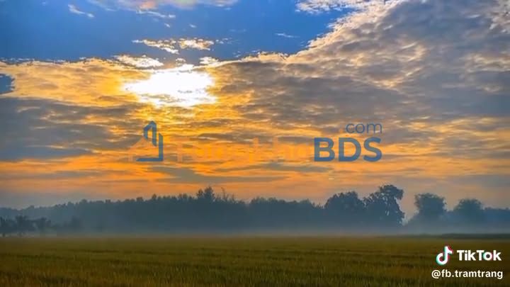 Đất Nền 600m² Hóc Môn - Sổ Riêng, Mặt Tiền Đường 15m, Giá 2x Tỷ