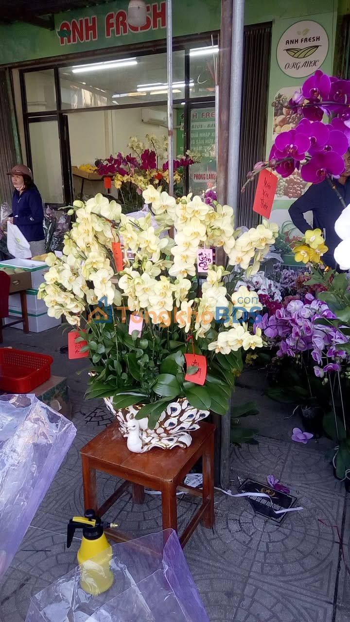 Nhà Mặt Tiền Kinh Doanh Đường Nam Cao Nối Dài, Tam Kỳ - 90m²