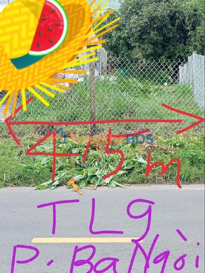 Bán Đất Full Thổ Cư Cam Ranh 163m² - Mặt Tiền Đường 30m