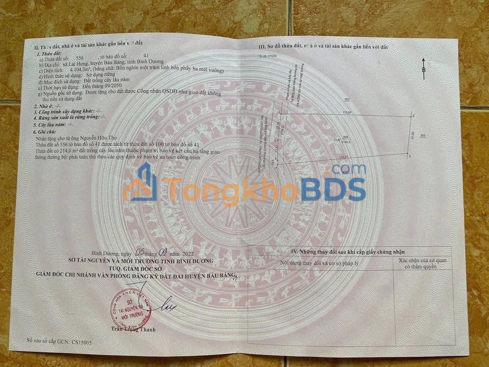 Đất Vườn Lai Hưng Bàu Bàng 4100m² - Giá Đầu Tư 3 Tỷ, Sẵn Sàng Thu Hoạch