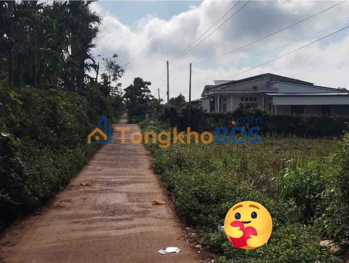 Đất Nền Trung Tâm Bình Thuận 192m² - Sổ Đỏ Thổ Cư, Giá 450 Triệu