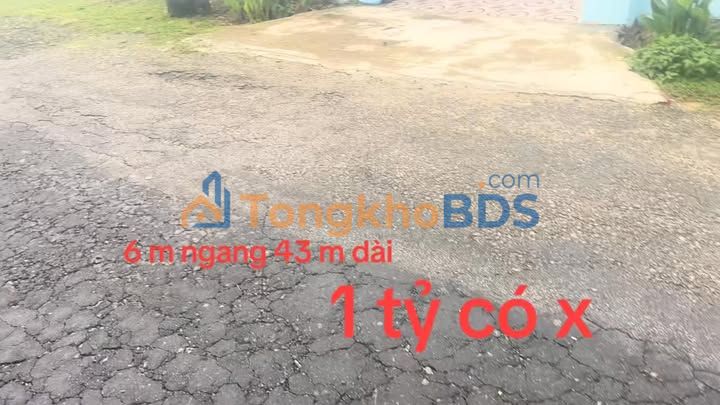 Nhà Mặt Tiền Thanh Niên Tây Hồ - 240m² - Hơn 1 Tỷ - Sổ Hồng