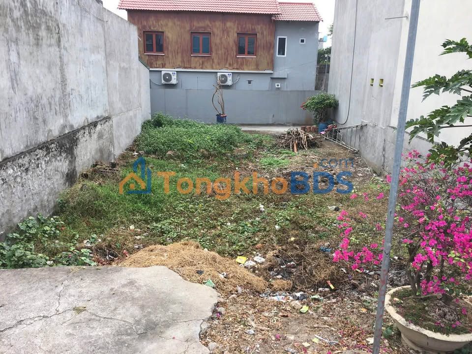 Bán đất Vũ Ninh Kiến Xương 100m² - Giá tốt, dân cư đông đúc