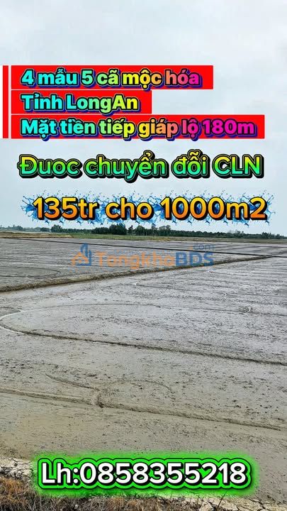 Đất Vàng Mộc Hóa Long An - 45.000m² Mặt Tiền 180m - 135 Tỷ
