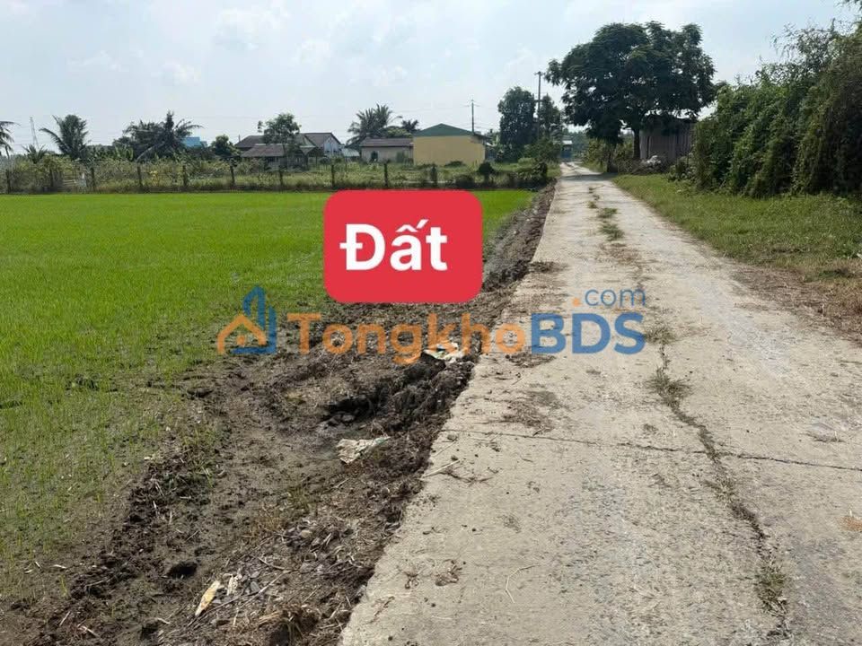 Đất thổ cư 150m² Lạc Tấn, Tân Trụ, Long An - Giá 475 triệu