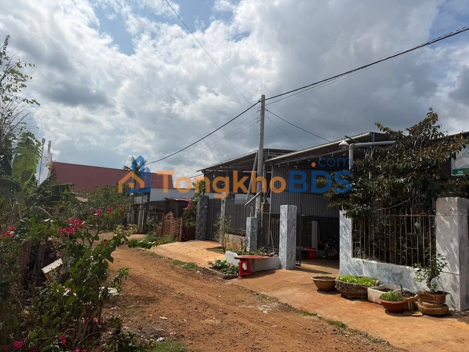 Bán Đất Quảng Tiến Sầm Sơn 192m² - Sổ Đỏ, Giá 1.3 Tỷ, Gần Trường Nguyễn Phương