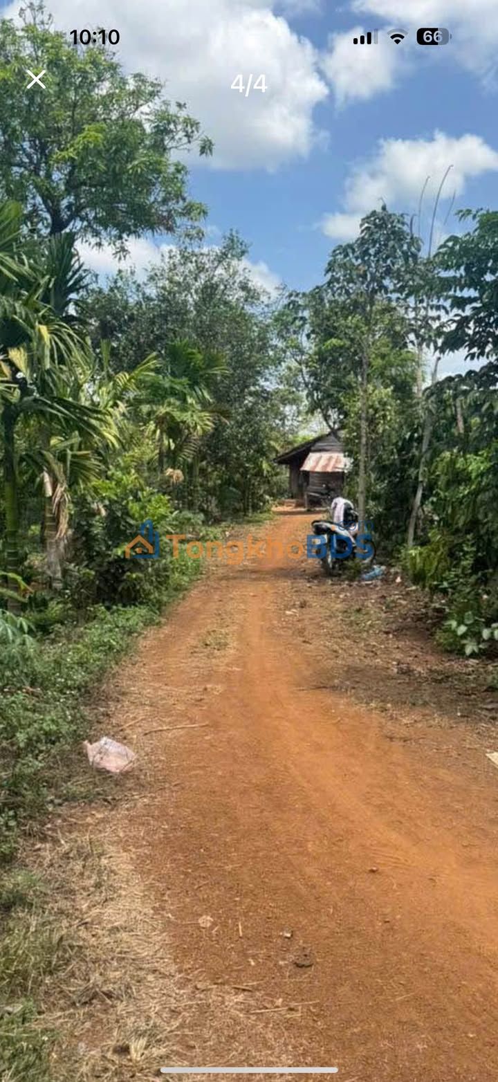 Trang trại Quảng Hiệp 46.000m² 1,056 tỷ - Sổ đỏ chính chủ