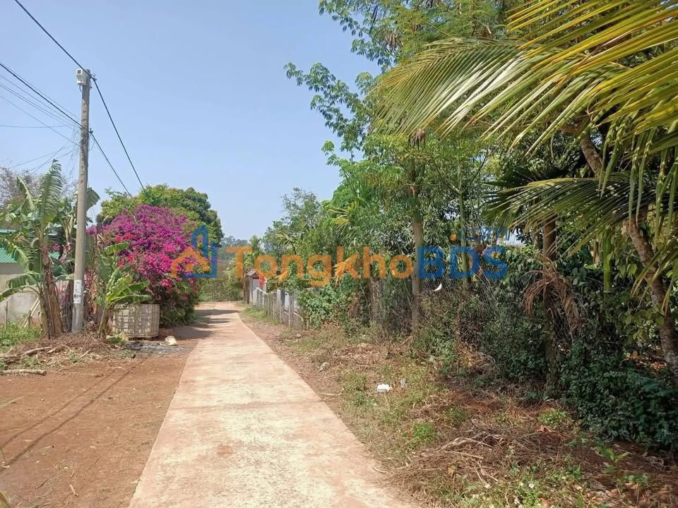 Đất Vườn Buôn Đôn 1550m² Sẵn Nhà, Vườn Cây Ăn Trái - 2.9 Tỷ