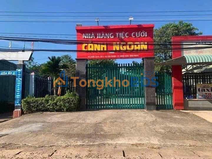 Đất Nền Dĩ An 2000m² Thổ Cư - Cạnh KCN, Gần Chợ, Giá Tốt