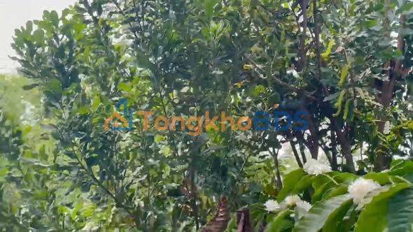 Farm Hải Yang 1.7ha giá 2 tỷ - Sổ đỏ chính chủ