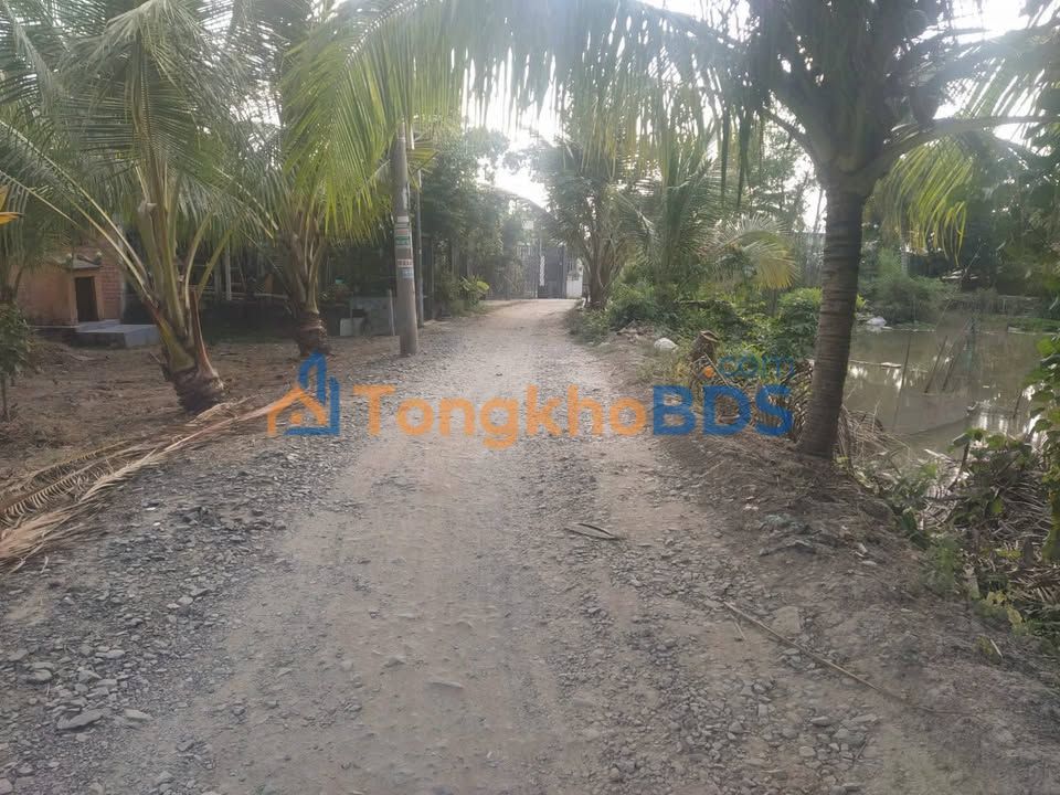 Bán Đất Nền 510m² Mặt Tiền Đường N12 Cái Bè - Sổ Hồng Sẵn Sàng