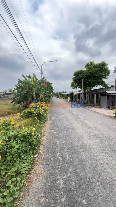 Bán Đất Vườn 599m² Mặt Tiền Đường Huyện 21, Thới Lai - Giá 2.5 Tỷ