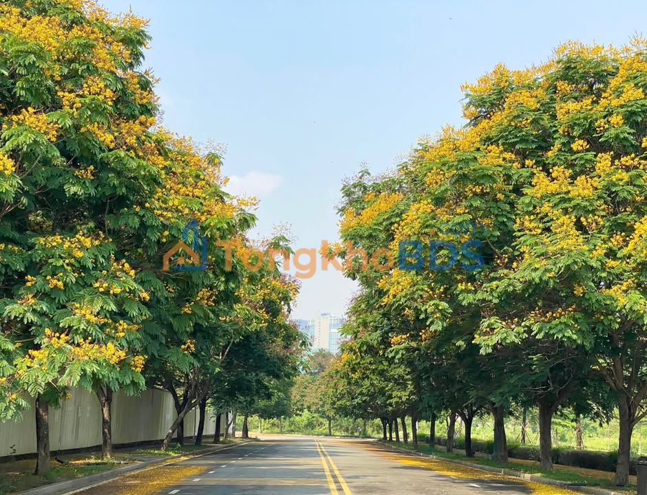 Nhà Cấp 4 Phước Kiến Cần Thơ 78.75m² - Sổ Hồng Hoàn Công