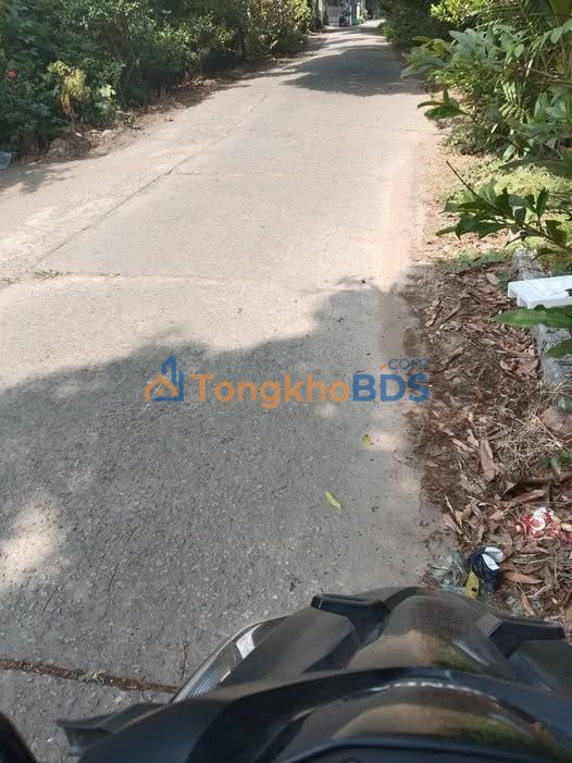 Đất Vườn & Ruộng Đồng Tháp - 4.3ha Mặt Tiền Rộng, Giá Đầu Tư 5.7 Tỷ