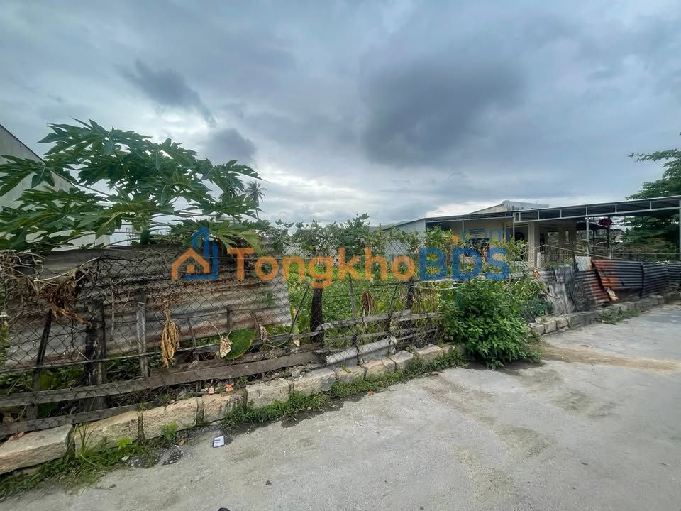 Đất Nền Cam Linh, Cam Ranh 116m² - Sổ Hồng ODT 80%, Giá 1.7 Tỷ