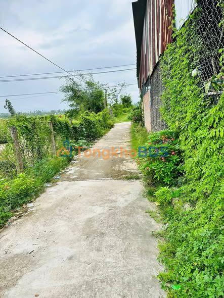 Đất thổ cư Bình Hòa Tây Sơn 170m² 600-699tr - Sổ đỏ chính chủ