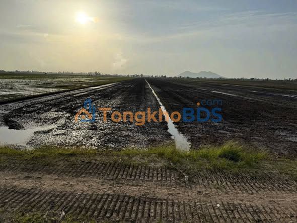 Đất Vườn An Giang 10.000m² - Sổ Đỏ Rõ Ràng, Giá Đầu Tư Tốt