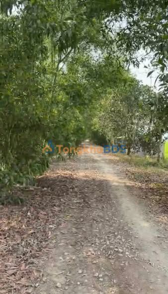 Đất Ruộng 10.5ha Huyện Tri Tôn, An Giang - Giá Đầu Tư Hấp Dẫn