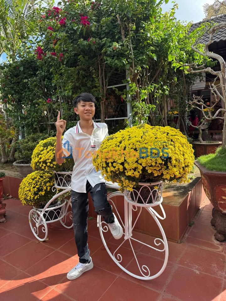 Đất Tân An Buôn Ma Thuột 720m² 3.879 tỷ - Sổ đỏ chính chủ